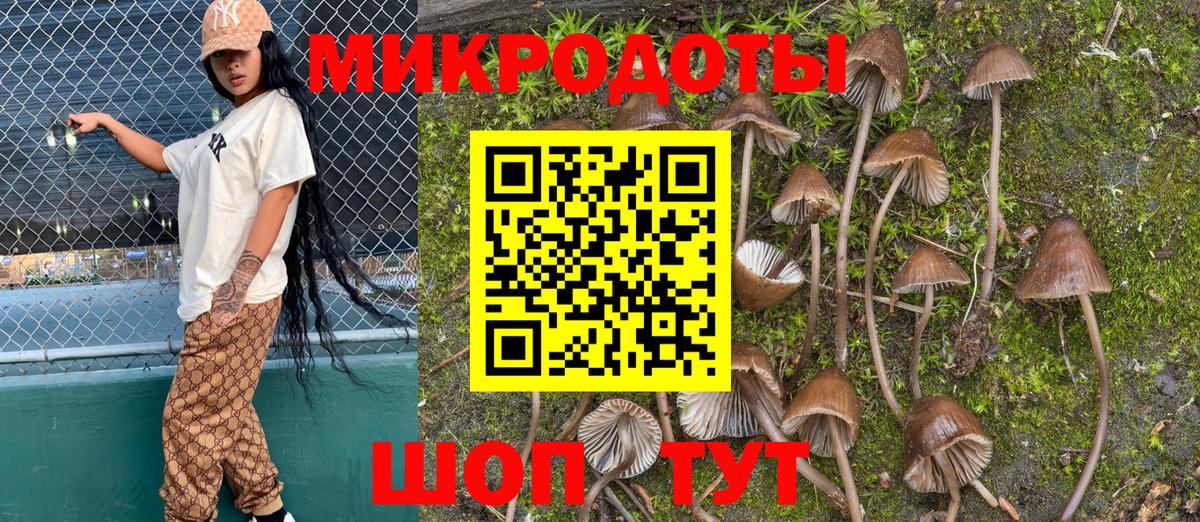 Галлюциногенные грибы GOLDEN TEACHER  Псилоцибиновые грибы GOLDEN TEACHER  Назрань  Вход с VPN 